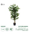 GloboStar® Artificial Garden FICUS BENJAMINA TREE 20415 Τεχνητό Διακοσμητικό Φυτό Φίκος Μπενζαμίνη Υ120cm