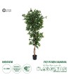 GloboStar® Artificial Garden FICUS BENJAMINA TREE 20416 Τεχνητό Διακοσμητικό Φυτό Φίκος Μπενζαμίνη Υ180cm