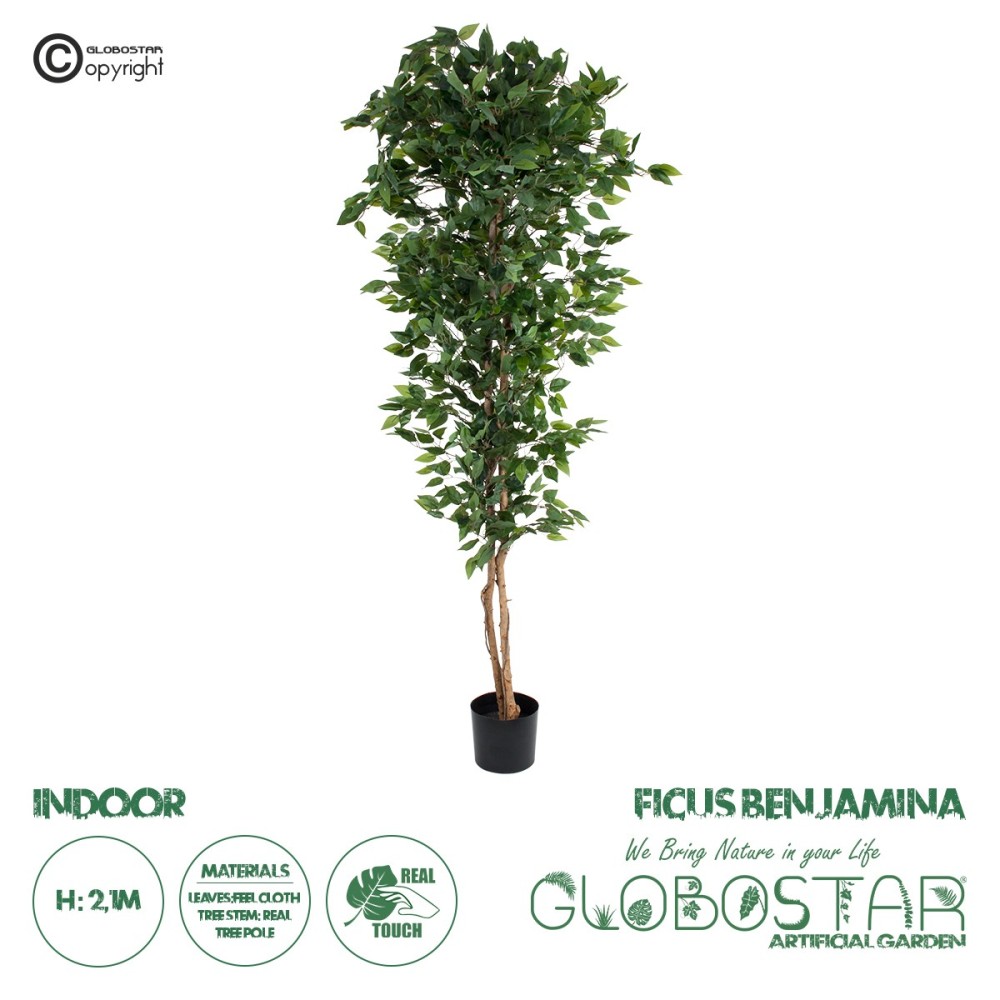 GloboStar® Artificial Garden FICUS BENJAMINA TREE 20417 Τεχνητό Διακοσμητικό Φυτό Φίκος Μπενζαμίνη Υ210cm