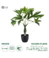 GloboStar® Artificial Garden PACHIRA GLABRA 20428 Τεχνητό Διακοσμητικό Φυτό Παχίρα της Τύχης Υ50cm