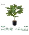 GloboStar® Artificial Garden FIG TREE 20380 Τεχνητό Διακοσμητικό Φυτό Συκιά Υ50cm