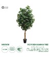 GloboStar® Artificial Garden FICUS BENJAMINA TREE 20431 Τεχνητό Διακοσμητικό Φυτό Φίκος Μπενζαμίνη Υ210cm