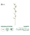 GloboStar® Artificial Garden BAMBOO BRANCH 20441 Τεχνητό Διακοσμητικό Κλαδί Μπαμπού Υ300cm