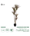 GloboStar® Artificial Garden DRAGON BLOOD TREE 20970 - Τεχνητό Διακοσμητικό Φυτό Δράκαινα Φ60 x Υ140cm
