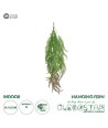 GloboStar® Artificial Garden HANGING FERN BRANCH 20834 Τεχνητό Διακοσμητικό Κρεμαστό κλαδί Φτέρης Μ30 x Π8 x Υ87cm