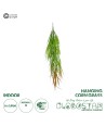 GloboStar® Artificial Garden HANGING CORN GRASS  20826 Τεχνητό Διακοσμητικό Κρεμαστό κλαδί Καλαμπόκι Μ23 x Π10 x Υ91cm