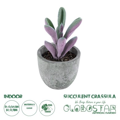 GloboStar® Artificial Garden SUCCULENT CRASULLA 21031 Διακοσμητικό Φυτό Παχύφυτο Κράσουλα Υ11cm