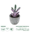 GloboStar® Artificial Garden SUCCULENT CRASULLA 21031 Διακοσμητικό Φυτό Παχύφυτο Κράσουλα Υ11cm