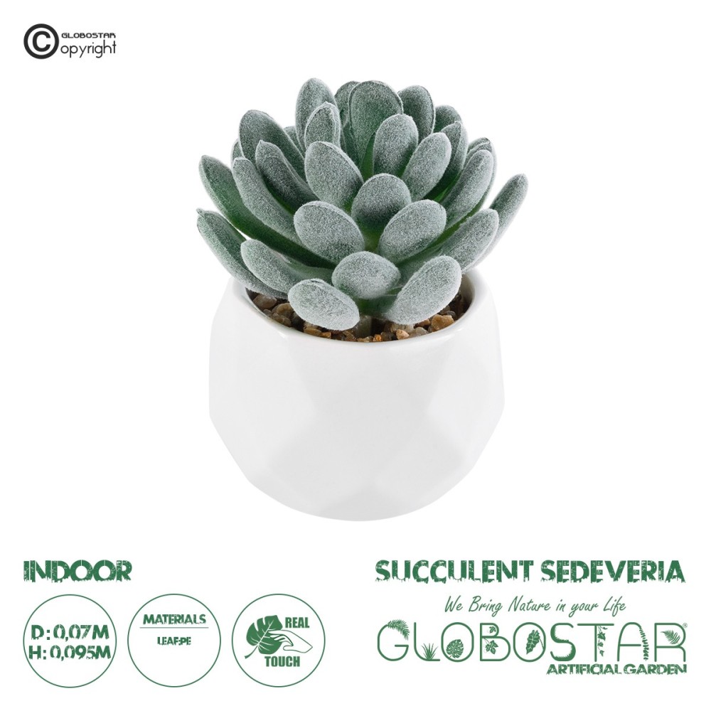 GloboStar® Artificial Garden SUCCULENT SEDEVERIA 21001 Διακοσμητικό Φυτό Παχύφυτο Σεντεβέρια Υ9.5cm