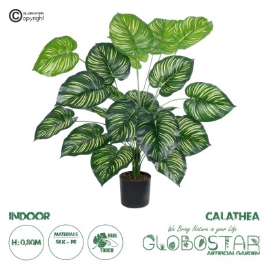 GloboStar® Artificial Garden CALATHEA PLANT 20922 Διακοσμητικό Φυτό Καλαθέα Φ70 x Υ80cm