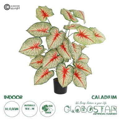 GloboStar® Artificial Garden CALADIUM PLANT 20921 Διακοσμητικό Φυτό Καλάντιουμ Φ75 x Υ80cm
