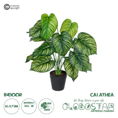 GloboStar® Artificial Garden CALATHEA PLANT 20912 Διακοσμητικό Φυτό Καλαθέα Φ55 x Υ75cm