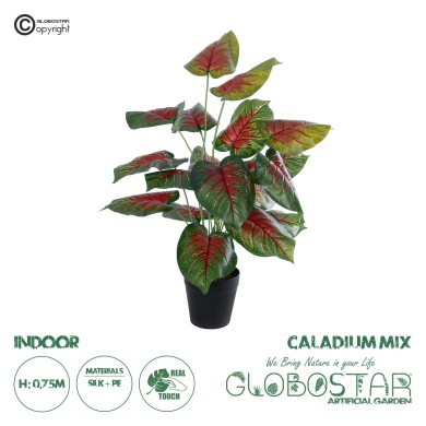 GloboStar® Artificial Garden CALADIUM MIX 20911 Διακοσμητικό Φυτό Καλάντιουμ Υ75cm