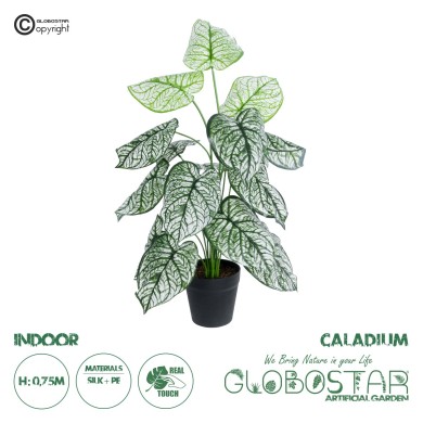 GloboStar® Artificial Garden CALADIUM 20908 Διακοσμητικό Φυτό Καλάδια Υ75cm
