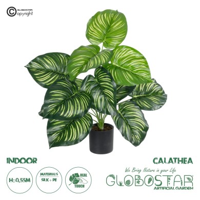 GloboStar® Artificial Garden CALATHEA PLANT 20933 Διακοσμητικό Φυτό Καλαθέα Φ55 x Υ55cm
