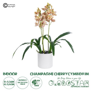 GloboStar® Artificial Garden CHAMPAGNE CHERRY CYMBIDIUM 21404 Διακοσμητικό Φυτό Σαμπανιζέ Κυμβίδιο Υ60cm