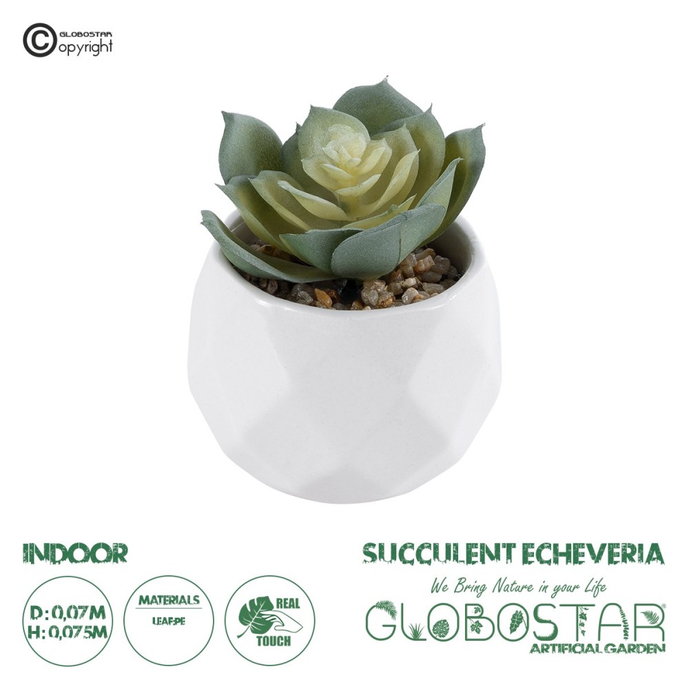 GloboStar® Artificial Garden SUCCULENT ECHEVERIA 20980 Διακοσμητικό Φυτό Παχύφυτο Εχεβέρια Υ7.5cm