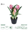 GloboStar® Artificial Garden PINK TULIP 21092 Διακοσμητικό Φυτό Ροζ Τουλίπα Υ23cm