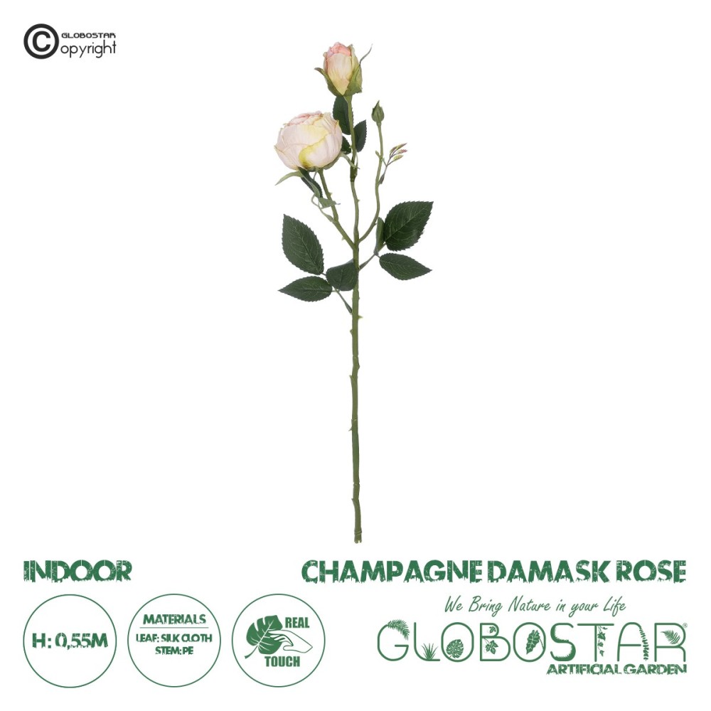 GloboStar® Artificial Garden CHAMPAGNE DAMASK CLIMBING ROSE BRANCH 21198 Τεχνητό Διακοσμητικό Κλαδί Τριαντάφυλλο Σαμπανιζέ Y55cm