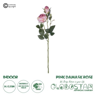 GloboStar® Artificial Garden PINK DAMASK CLIMBING ROSE BRANCH 21199 Τεχνητό Διακοσμητικό Κλαδί Τριαντάφυλλο Σαμπανιζέ Y55cm