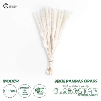 GloboStar® Artificial Garden REAL DRIED BEIGE PAMPAS GRASS BUNCH 21216 Αποξηραμένο Διακοσμητικό Μπουκέτο Pampas Μπέζ Y50cm - Σετ 15 τμχ