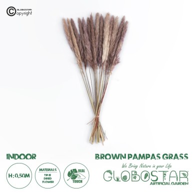 GloboStar® Artificial Garden REAL DRIED BROWN PAMPAS GRASS BUNCH 21215 Αποξηραμένο Διακοσμητικό Μπουκέτο Pampas Kάφε Y50cm - Σετ 15 τμχ