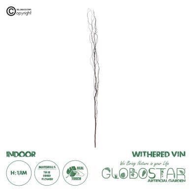 GloboStar® Artificial Garden REAL DRIED WITHERED VINE STEM 21221 Τεχνητό Διακοσμητικό Κλαδί Αμπελιού Y180cm
