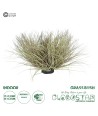 GloboStar® Artificial Garden GRASS BUSH PLANT 21167 Τεχνητό Διακοσμητικό Φυτό Θάμνος Grass Π50cm Y30cm