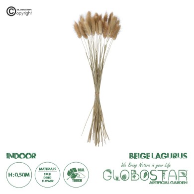GloboStar® Artificial Garden REAL DRIED BEIGE WHEAT BUNCH  21219 Αποξηραμένο Διακοσμητικό Μπουκέτο Σιταριού Y50cm - Σετ 30 τμχ
