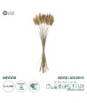 GloboStar® Artificial Garden REAL DRIED BEIGE WHEAT BUNCH  21219 Αποξηραμένο Διακοσμητικό Μπουκέτο Σιταριού Y50cm - Σετ 30 τμχ