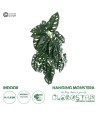 GloboStar® Artificial Garden MONSTERA HANGING PLANT 20608 - Τεχνητό Διακοσμητικό Κρεμαστό Φυτό Μονστέρα Υ45cm