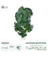 GloboStar® Artificial Garden MONSTERA HANGING PLANT 20613 - Τεχνητό Διακοσμητικό Κρεμαστό Φυτό Μονστέρα Υ45cm