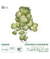 GloboStar® Artificial Garden SYNGONIUM HANGING PLANT 20607 Τεχνητό Διακοσμητικό Κρεμαστό Φυτό Συγκόνιο Υ45cm