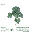 GloboStar® Artificial Garden PEPEROMIA HANGING PLANT 20603 Τεχνητό Διακοσμητικό Κρεμαστό Φυτό Πεπερόμια Υ45cm