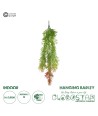 GloboStar® Artificial Garden HANGING BARLEY 20858 Τεχνητό Διακοσμητικό Κρεμαστό Φυτό Κριθάρι Μ26 x Π15 x Υ81cm