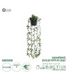 GloboStar® Artificial Garden HANGING EUCALYPTUS LEAF 20884 - Τεχνητό Κρεμαστό Διακοσμητικό Φυτό Φύλλα Ευκάλυπτου Φ17 x Y60cm