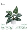 GloboStar® Artificial Garden ALOCASIA 20886 Τεχνητό Διακοσμητικό Φυτό Αλοκασία Φ38 x Υ33cm
