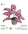GloboStar® Artificial Garden RED POLKA 20887 Τεχνητό Διακοσμητικό Φυτό Κόκκινη Πόλκα Φ38 x Υ33cm