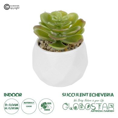 GloboStar® Artificial Garden SUCCULENT ECHEVERIA POTTED PLANT 20991 Διακοσμητικό Φυτό Εχεβέρια Φ6 x Υ8,5cm