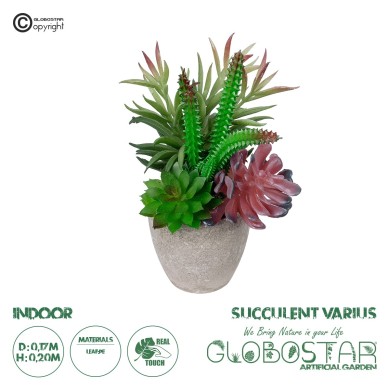 GloboStar® Artificial Garden SUCCULENT VARIUS PLANT POTTED 21039 Διακοσμητικό Φυτό Μίξ Μ17 x Υ20cm