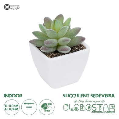 GloboStar® Artificial Garden  SUCCULENT SEDEVERIA POTTED PLANT 20975 Διακοσμητικό Φυτό Φοίνικα Σερενόα Φ7 x Υ8cm