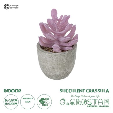 GloboStar® Artificial Garden SUCCULENT CRASSULA POTTED PLANT 21029 Διακοσμητικό Φυτό Κρασούλα  Φ7 x Υ10,5cm