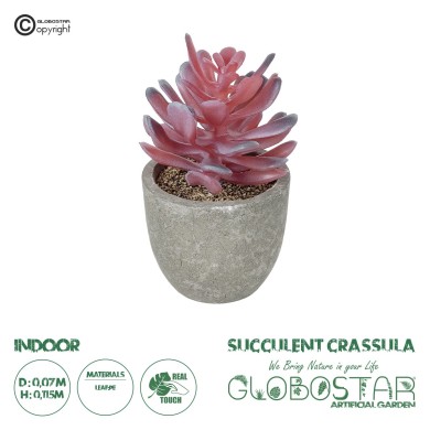 GloboStar® Artificial Garden SUCCULENT CRASSULA POTTED PLANT 21015 Διακοσμητικό Φυτό Κρασούλα  Φ7 x Υ11,5cm