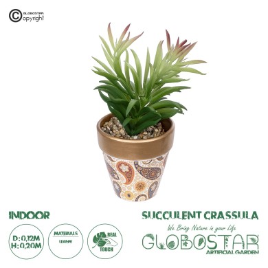 GloboStar® Artificial Garden SUCCULENT CRASSULA POTTED PLANT 21046 Διακοσμητικό Φυτό Κρασούλα  Φ12 x Υ20cm