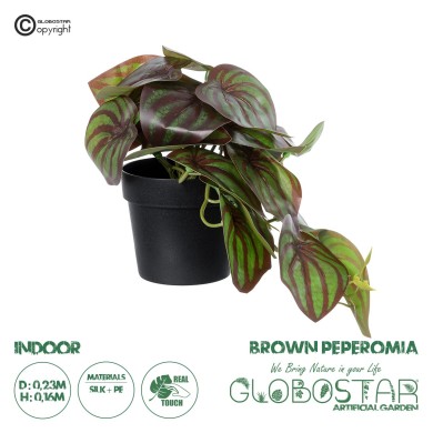 GloboStar® Artificial Garden BROWN PEPEROMIA PLANT 20952 Διακοσμητικό Φυτό Καφέ Πεπερόμια Φ23 x Υ16cm