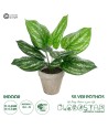 GloboStar® Artificial Garden SILVER POTHOS POTTED PLANT 20896 Διακοσμητικό Φυτό Πόθος Φ40 x Υ33cm