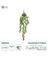 GloboStar® Artificial Garden HANGING CYPRESS 20822 Τεχνητό Διακοσμητικό Κρεμαστό Φυτό Κυπαρίσσι Μ25 x Π15 x Υ80cm