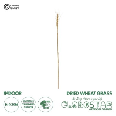 GloboStar® Artificial Garden REAL DRIED WHEAT GRASS 21488 Τεχνητό Διακοσμητικό Κλαδί Σιταριού Y30cm