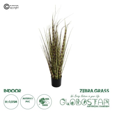 GloboStar® Artificial Garden ZEBRA GRASS 21482 Τεχνητό Διακοσμητικό Φυτό Ζέμπρα  Υ85cm