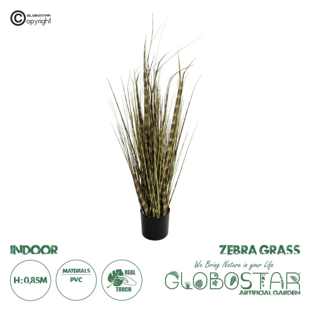 GloboStar® Artificial Garden ZEBRA GRASS 21482 Τεχνητό Διακοσμητικό Φυτό Ζέμπρα  Υ85cm